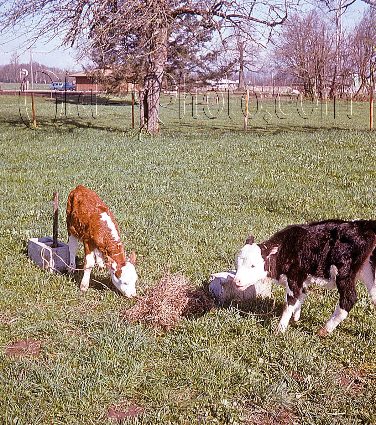 Thumbnail: 3D sample #2